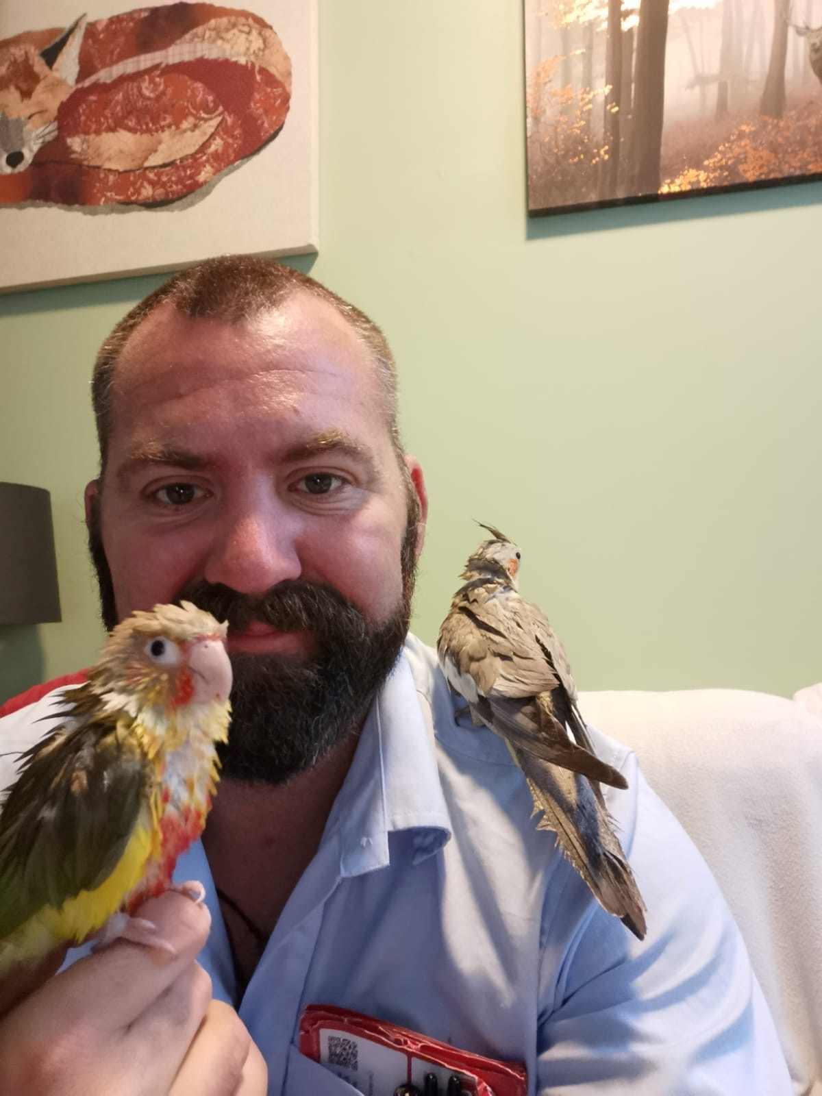 A Riverside Conure, a customer's conure